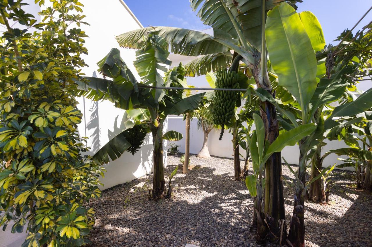 Home2Book Amazing Santa Ursula, Sea Views & Terrace Exteriör bild