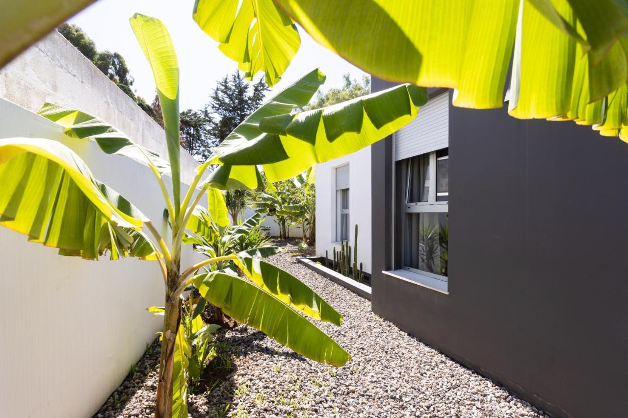 Home2Book Amazing Santa Ursula, Sea Views & Terrace Exteriör bild